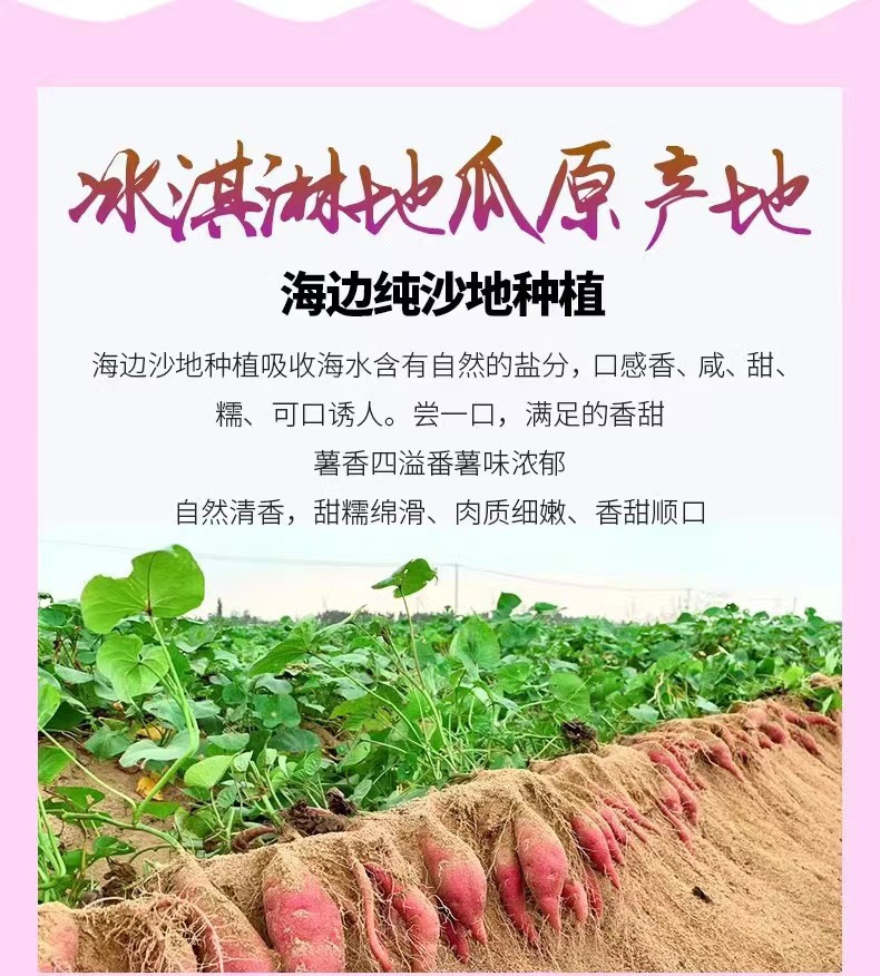 和百圆 新鲜冰淇淋红薯一点红番薯紫心薯5斤产地直发