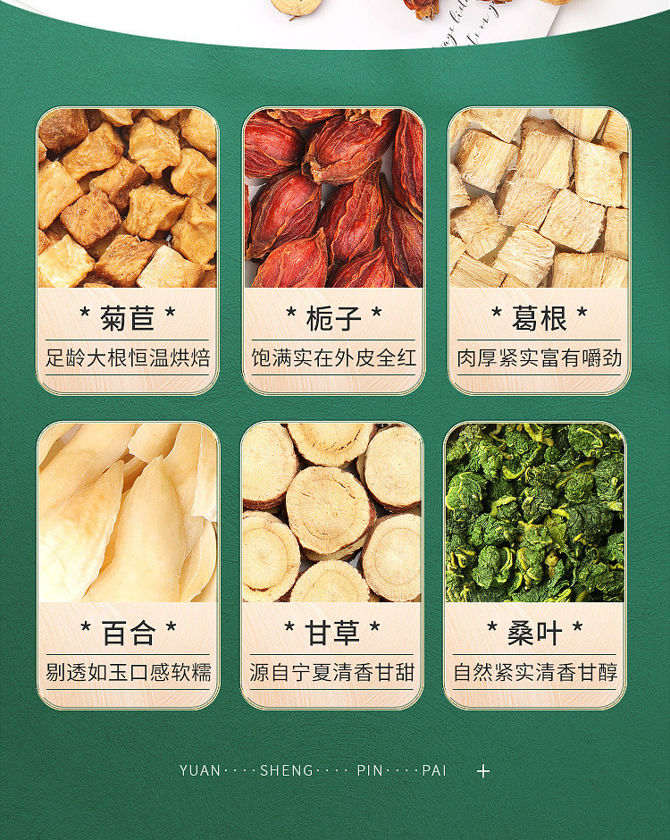 福东海 菊苣栀子茶非碎料型菊苣根百合桑叶茶葛根茶五宝配方养生茶12g*10袋