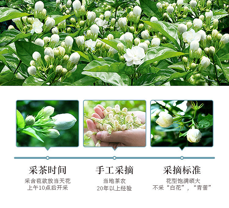 福东海 茉莉花苞茶50克 茶叶 新花干花蕾 花草茶泡茶泡水喝 养生茶饮