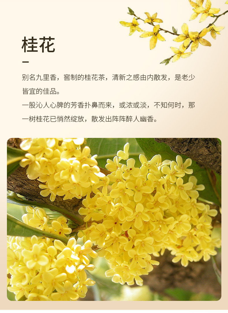 福东海 桂花50g 精选品质干桂花茶 广西桂林金桂花茶 干花甜品养生