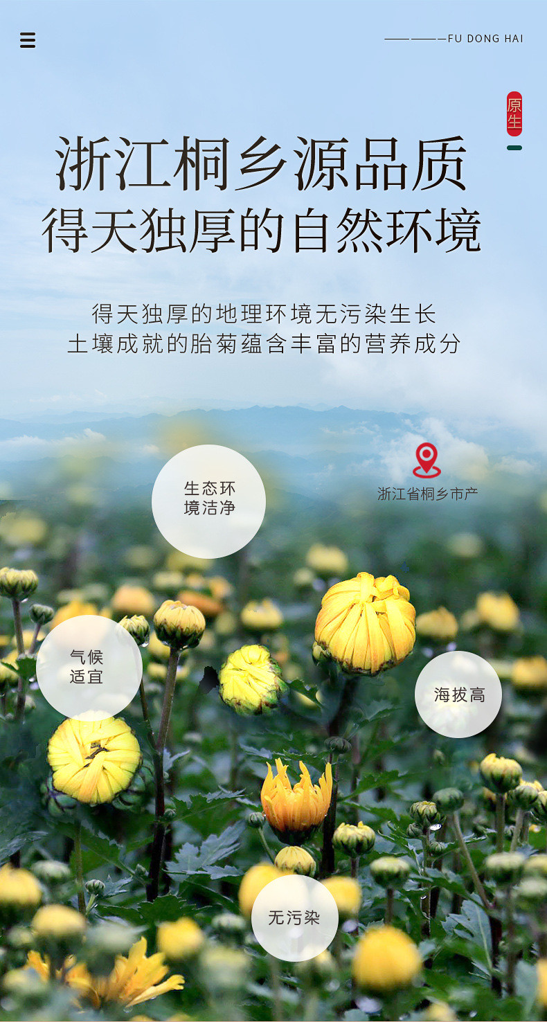 福东海 胎菊138克【当季新采特优】夏季高温团购家庭装分量足桐乡杭白