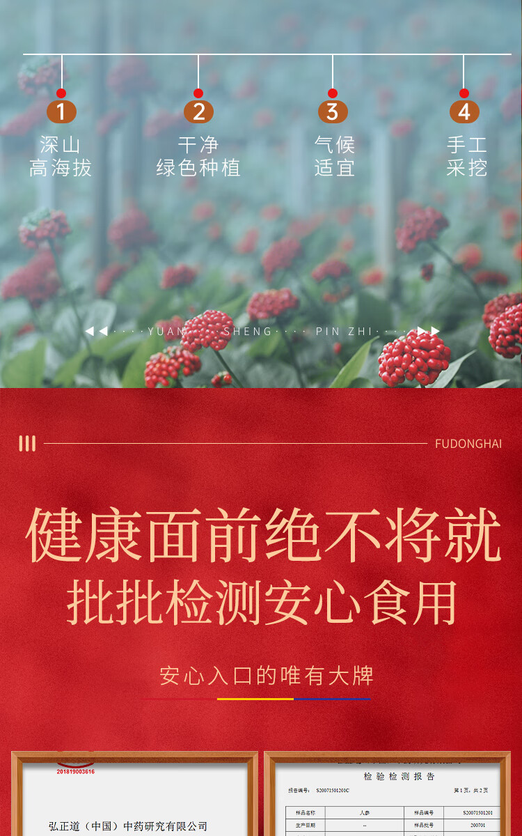 福东海 人参50克 长白山人参3~5支装生晒参 送礼品礼盒装滋补品