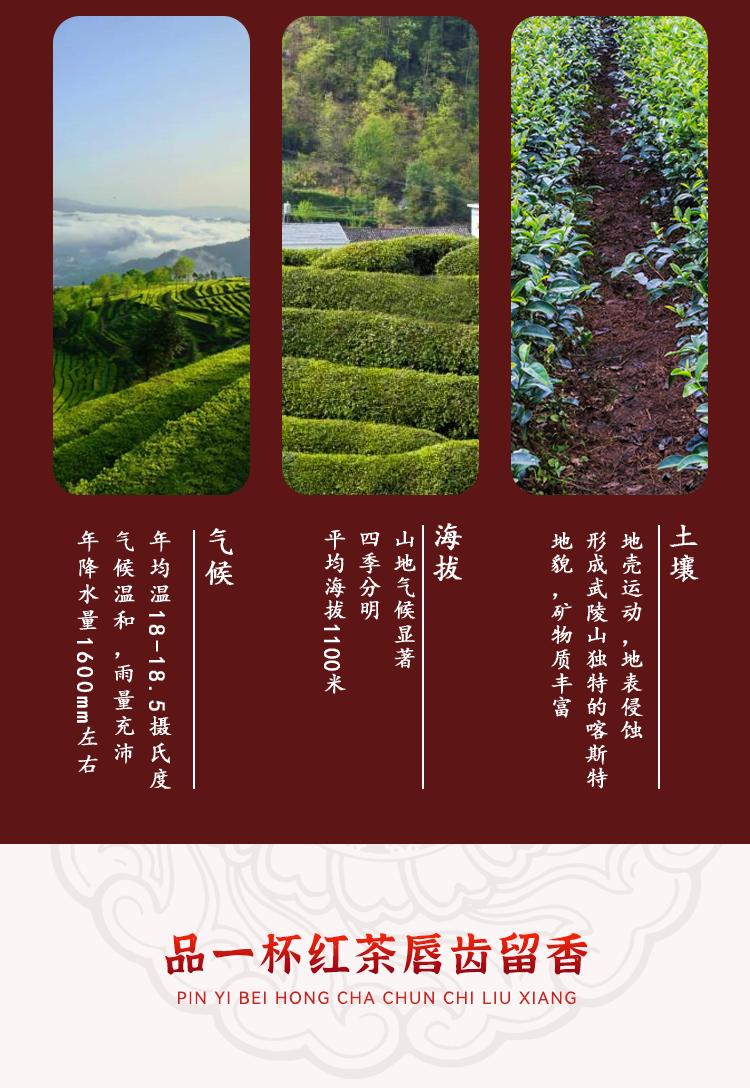 陵溪涧 五峰高山宜红茶宜红工夫茶（盈韵）500g/袋