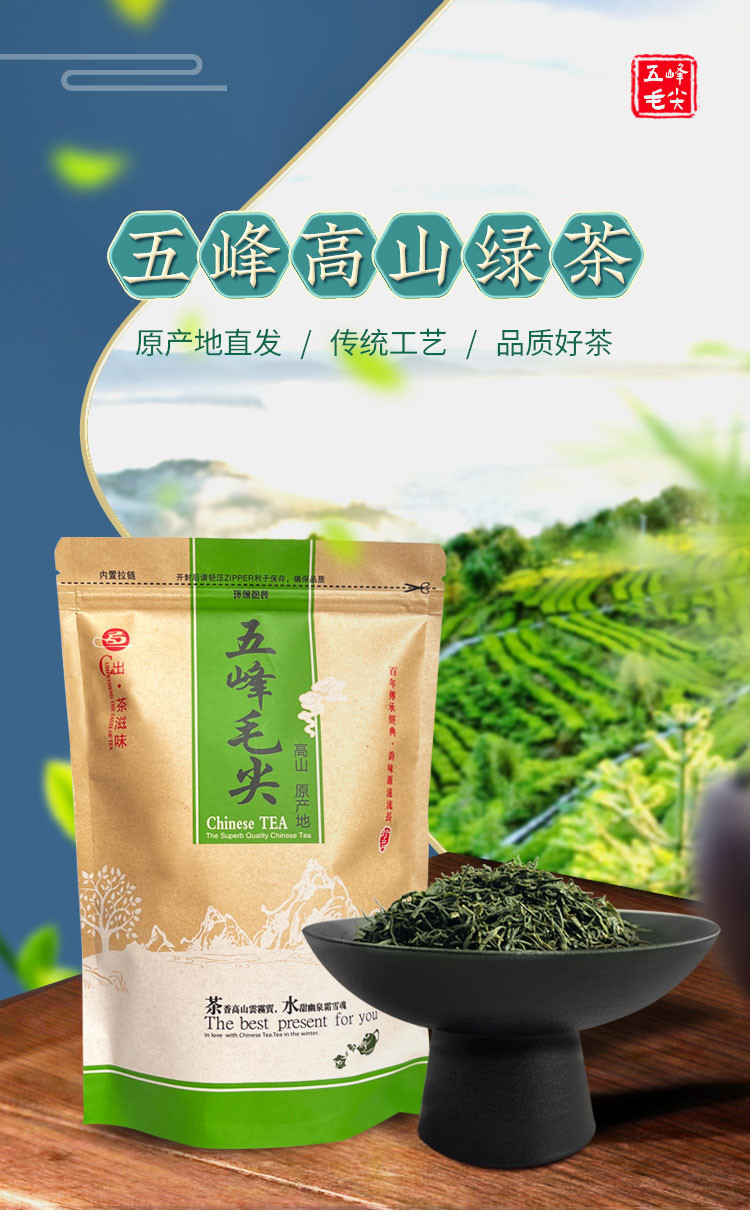陵溪涧 2023新茶五峰高山毛尖绿茶250g口粮茶