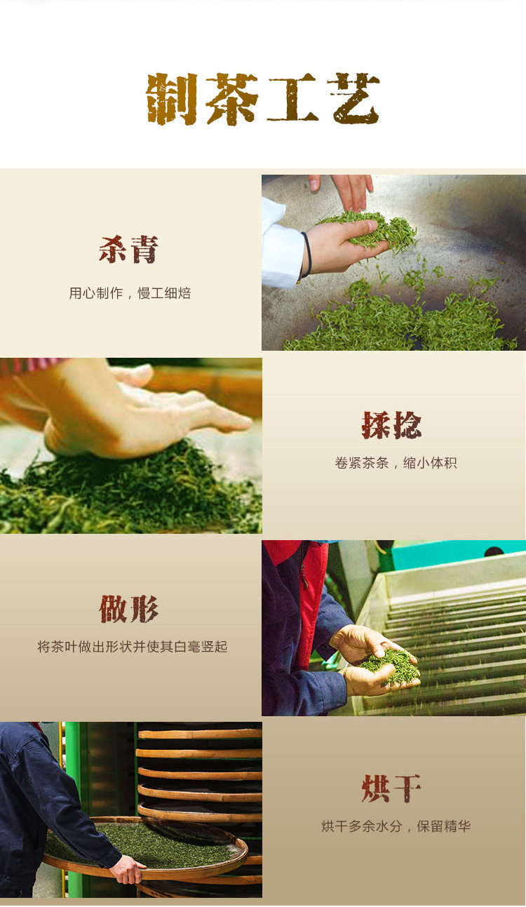 陵溪涧 五峰白溢春高山毛尖绿茶100g/袋