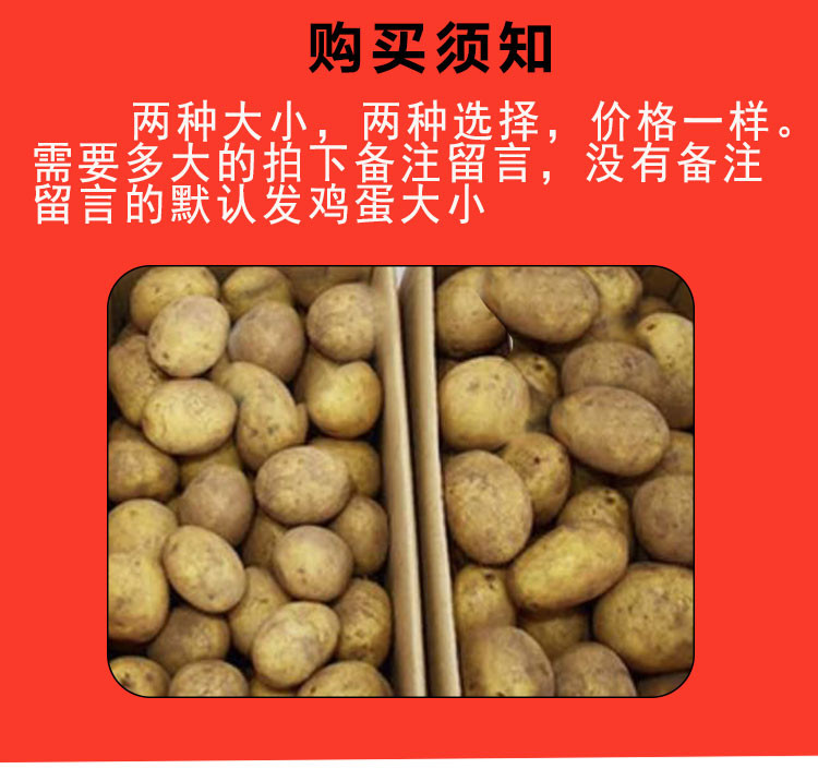 陵溪涧 五峰高山小土豆5斤/盒