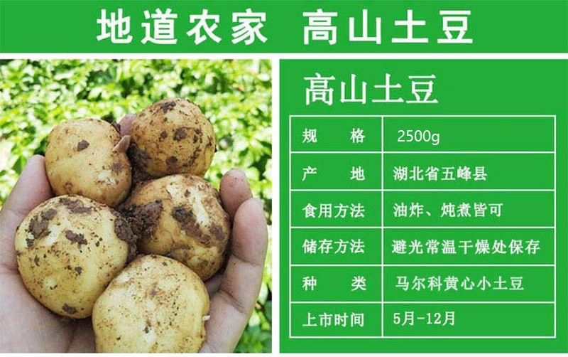 陵溪涧 五峰马尔科小土豆 黄皮黄心高山洋芋2500g装