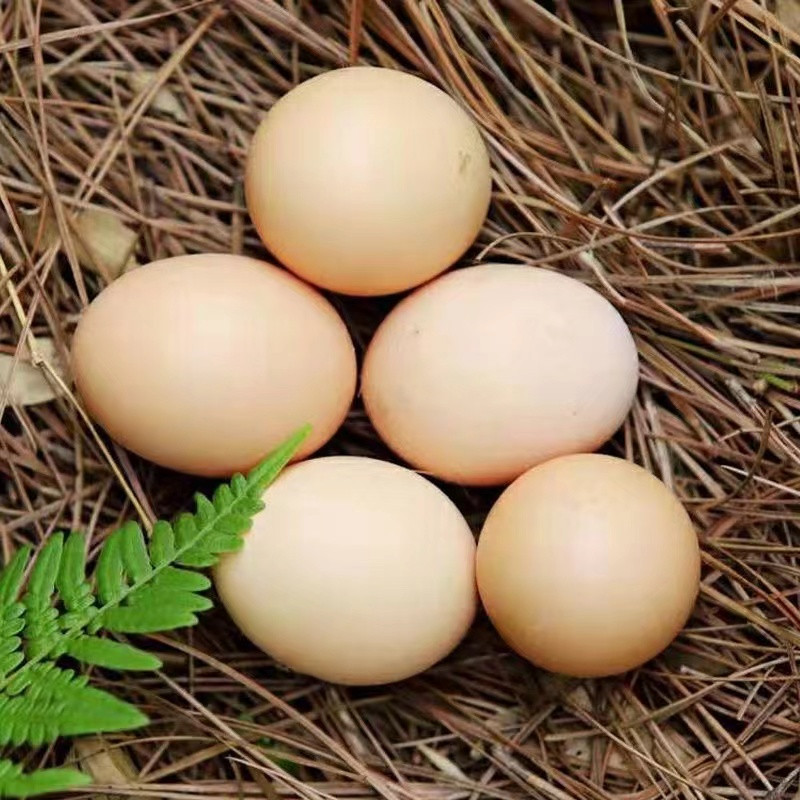 农家自产 山鸡蛋30枚