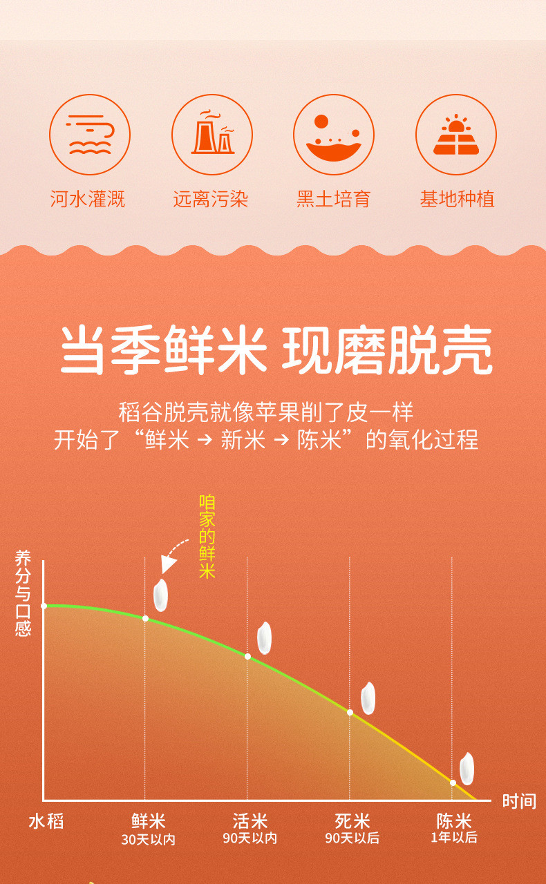 【零利冲量款】东北大米5斤圆粒珍珠米黑龙江大米源头正品现磨当年新米家庭囤货超值装孝敬爸妈节日礼品团购