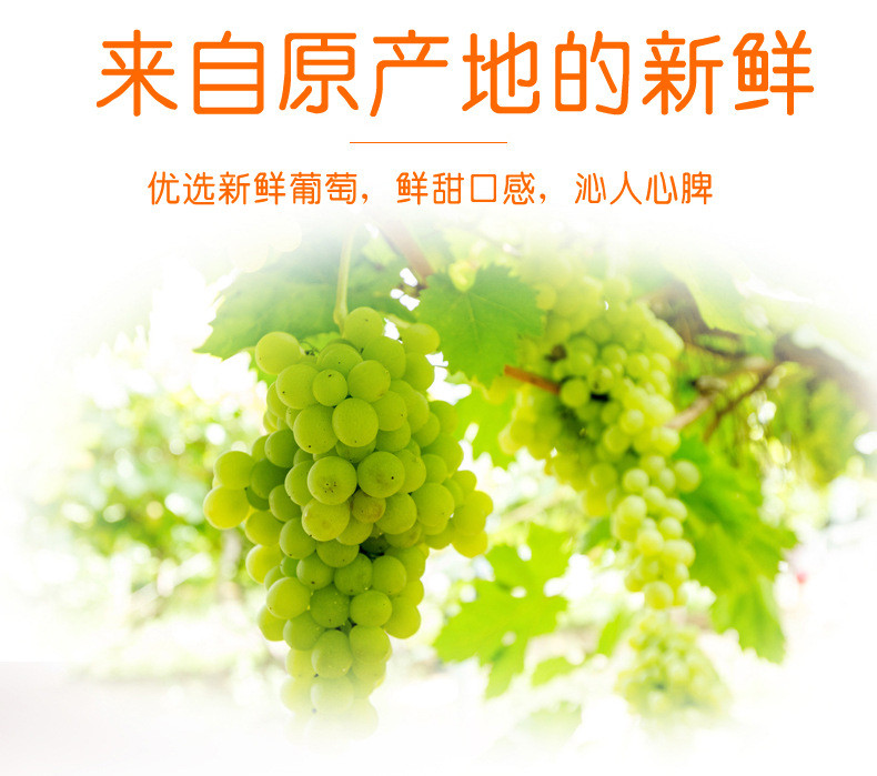 【拍3份发8袋】无核白葡萄干128g/袋零食蜜饯果脯提子干新疆特产干果直发休闲小吃姐妹团购拼团抖音款