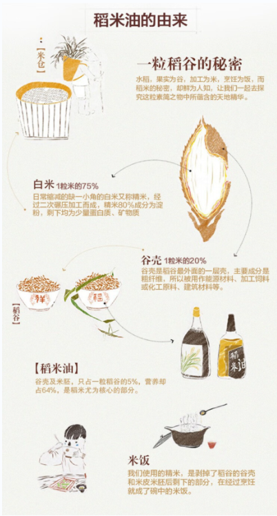 金龙鱼精粹稻米油5L（新瓶型）