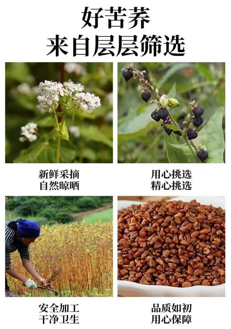 鸣游特产 【苦荞米】健康膳食 降糖养生 农家自种黑苦荞