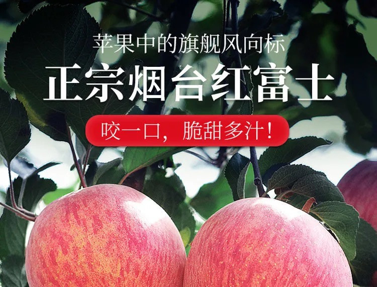 红富士苹果当季新鲜时令水果脆甜爽口 悟岳