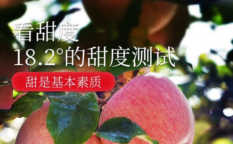 红富士苹果当季新鲜时令水果脆甜爽口 悟岳