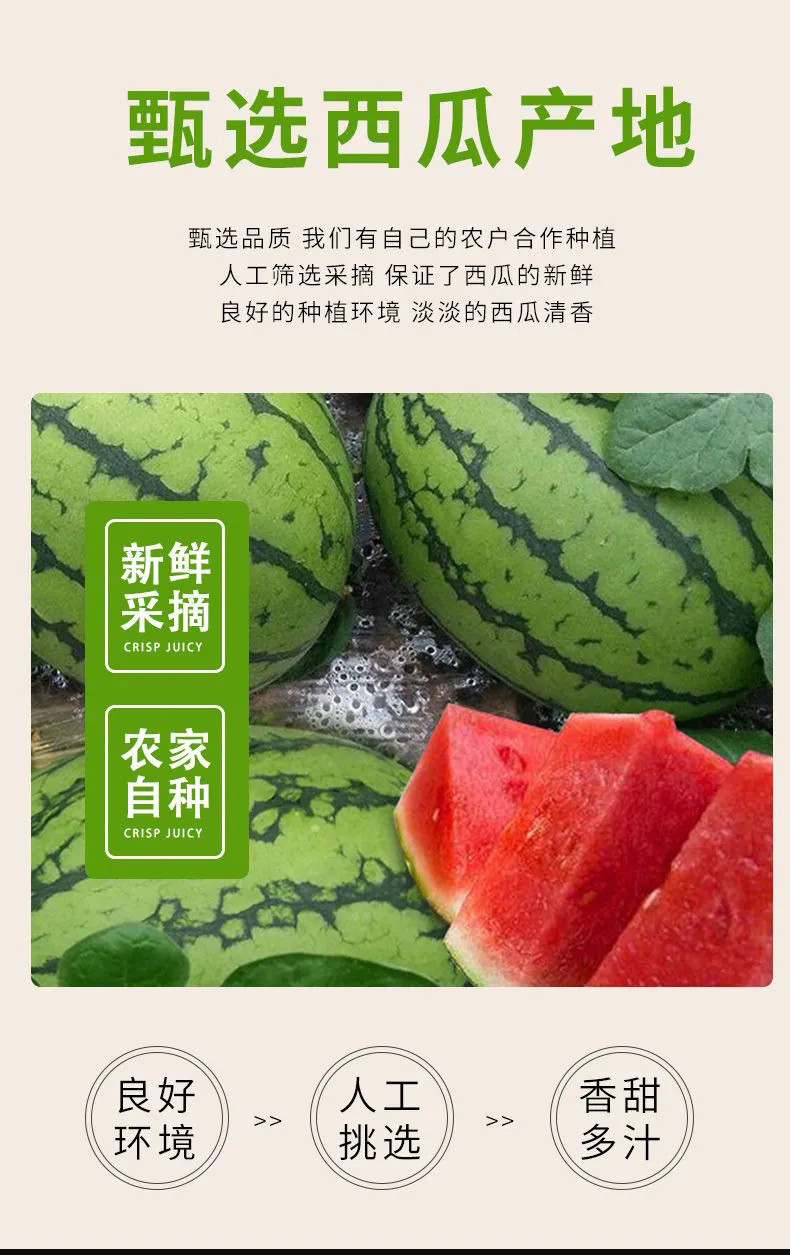 手剥皮小西瓜2K小糖丸西瓜新鲜水果薄皮红肉脆甜手撕西瓜 悟岳