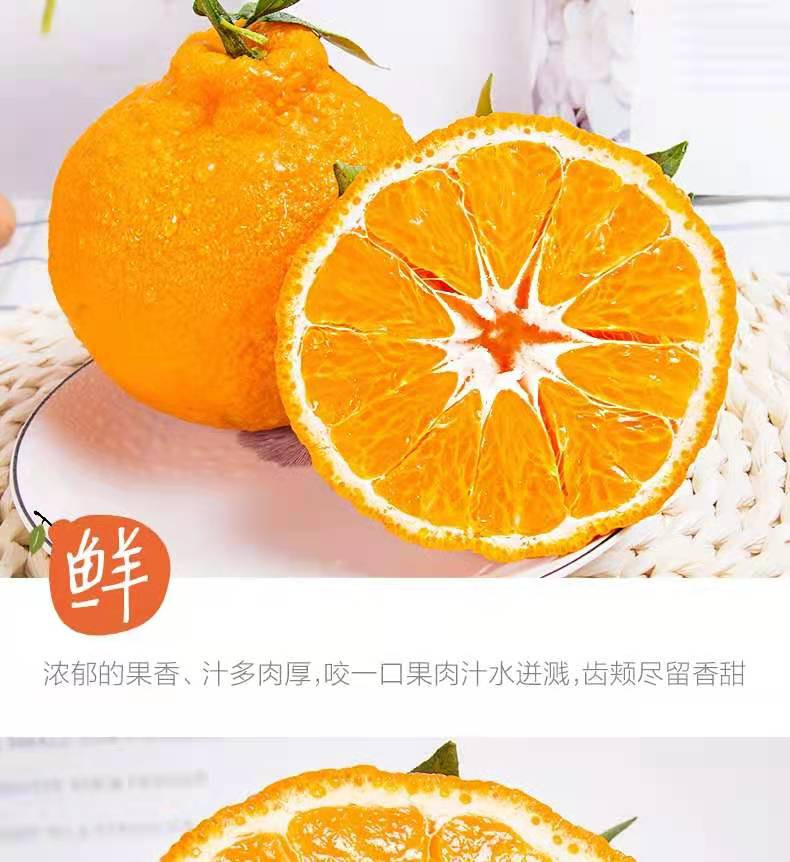  四川不知火丑橘新鲜水果  悟岳