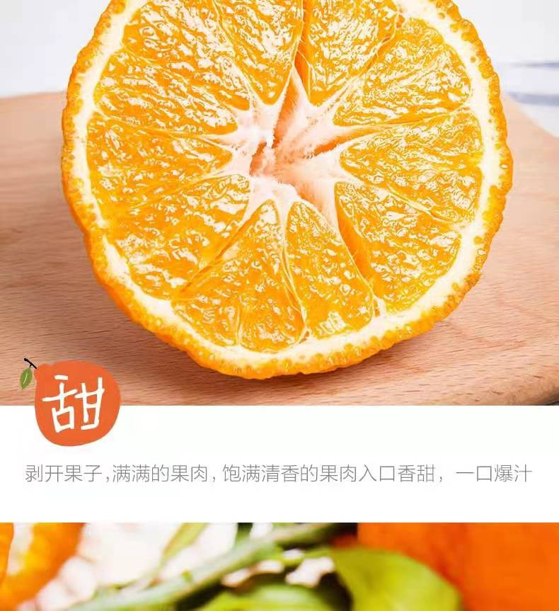  四川不知火丑橘新鲜水果  悟岳