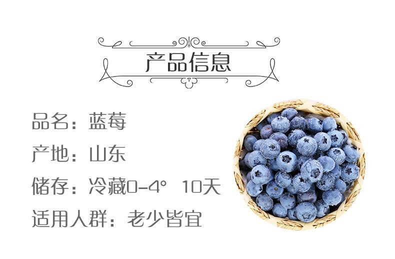  蓝莓新鲜水果当季鲜果现摘【顺丰包邮】  悟岳