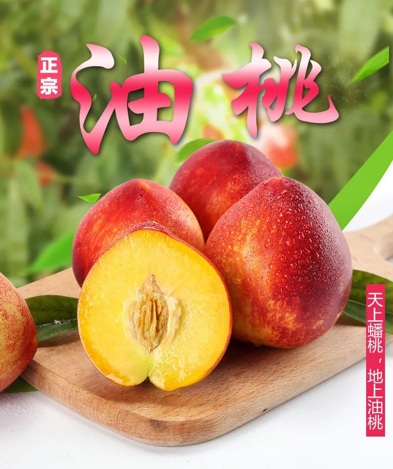 红皮黄肉油桃5斤应季新鲜水果 悟岳