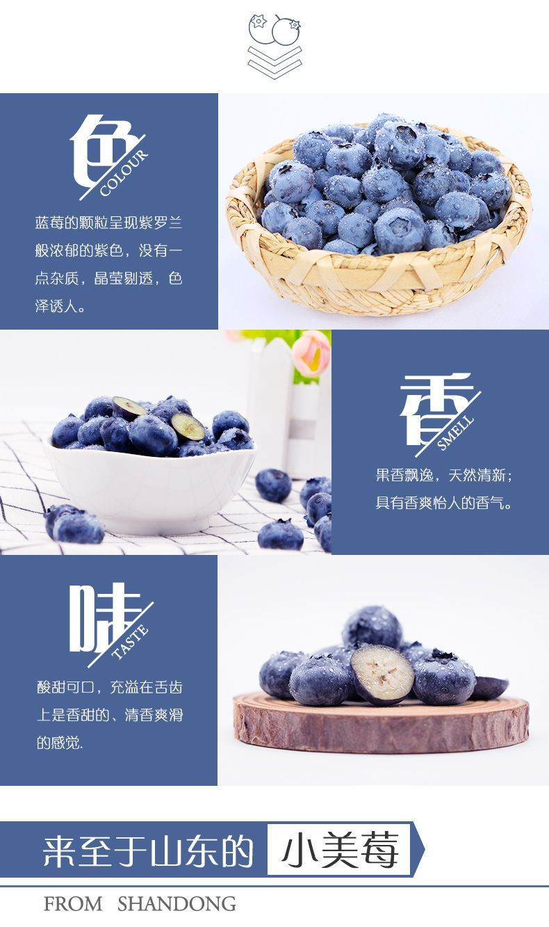  蓝莓新鲜水果当季鲜果现摘【顺丰包邮】  悟岳