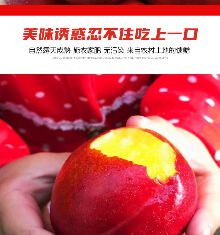  现摘红皮黄心黄肉红油桃5斤大果新鲜时令当季桃子应季水果  悟岳