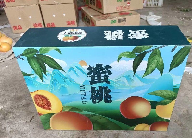  奶油白桃5斤新鲜水果脆甜白玉水蜜桃孕妇桃子现摘现发  悟岳