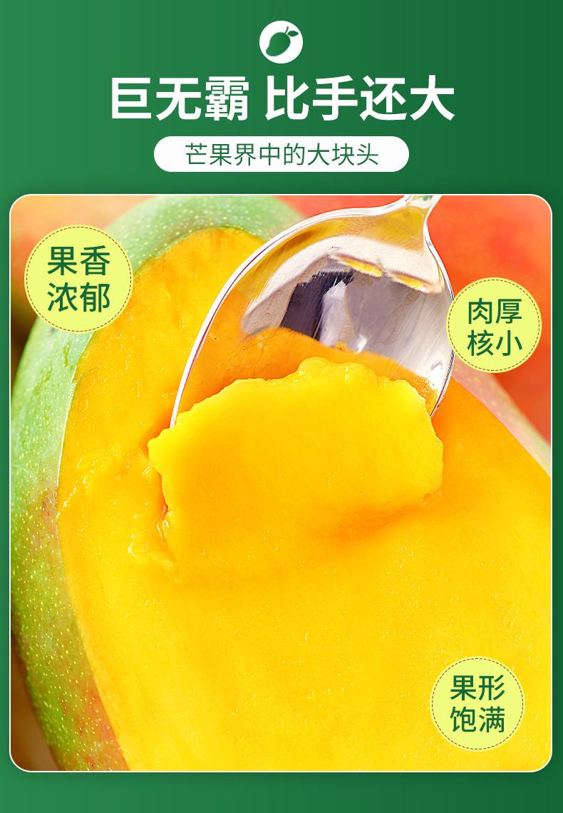 悟岳 【助农】凯特芒果9斤新鲜水果当季现摘整箱包邮
