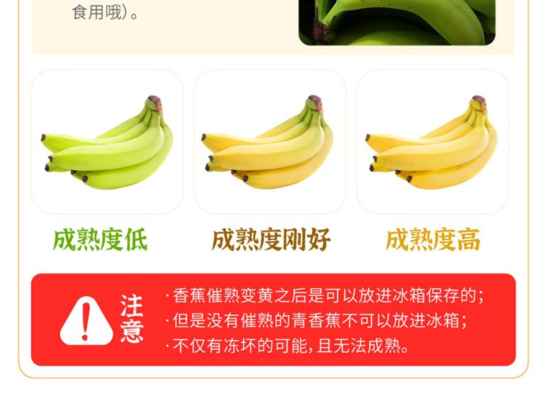 悟岳 高山香甜天宝香蕉整箱包邮5斤新鲜当季水果