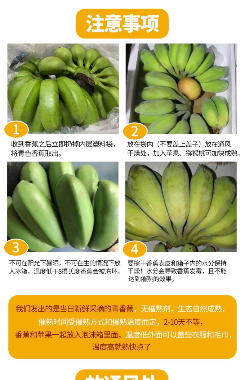 悟岳 小米蕉香蕉9斤新鲜当季水果整箱包邮