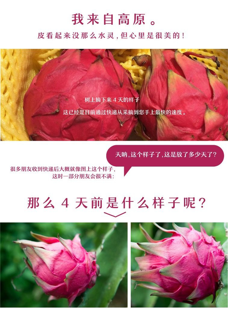 悟岳 【助农】金都一号红心火龙果5斤当季新鲜水果