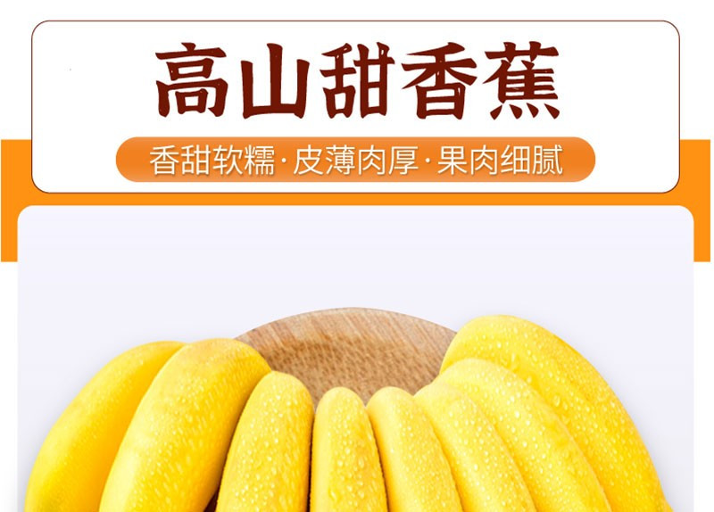 悟岳 高山香甜天宝香蕉整箱包邮5斤新鲜当季水果
