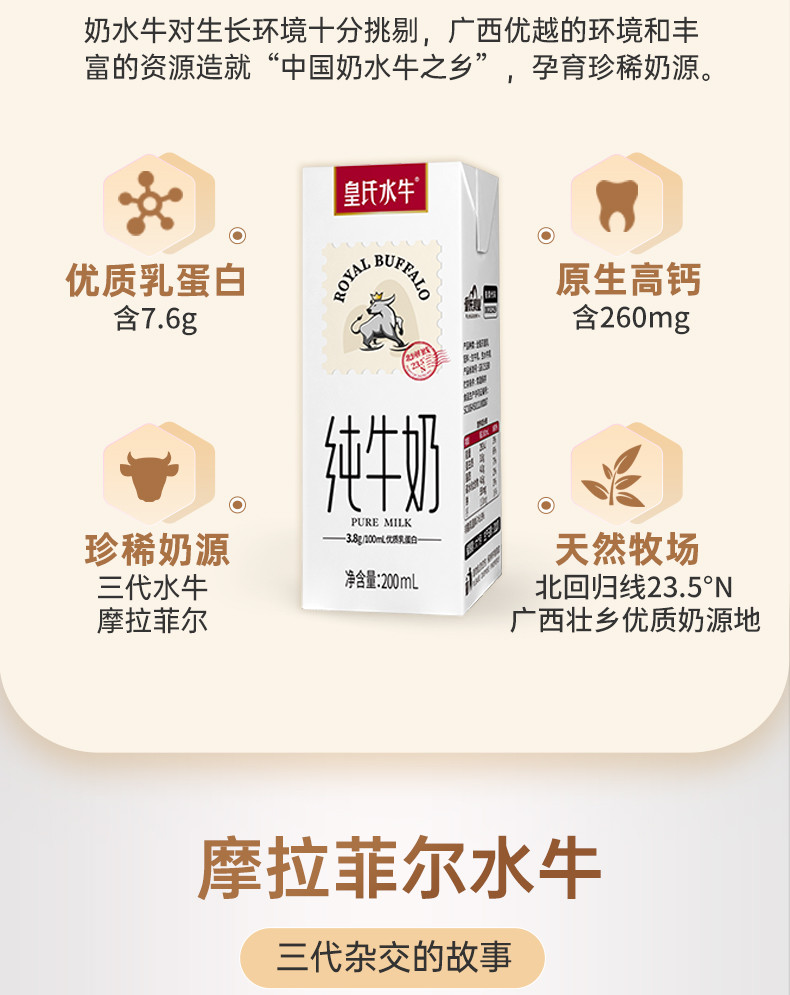 皇氏乳业 皇氏水牛纯牛奶 3.8g乳蛋白 200ml*12 水牛配方