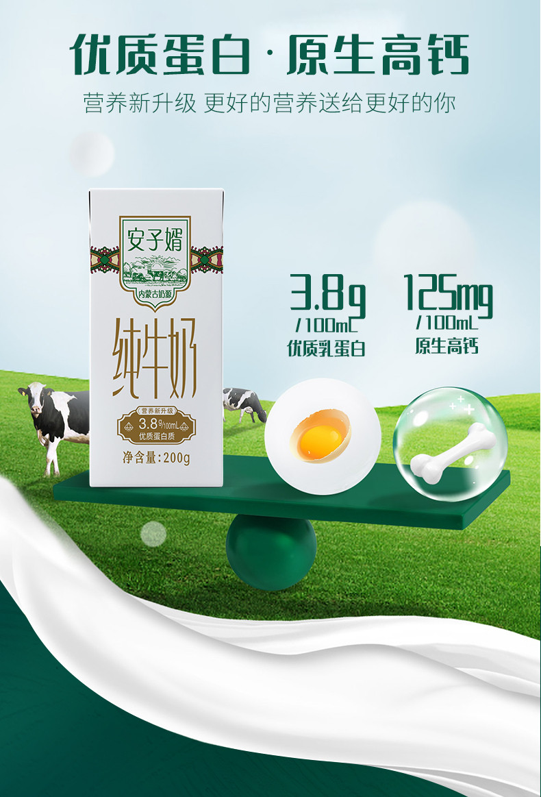安子婿 3.8g乳蛋白纯牛奶 到手两箱（200g*10盒/提）