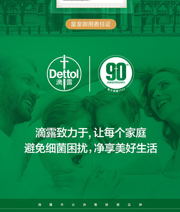 滴露/Dettol 洗衣机清洁除菌液松木250ml