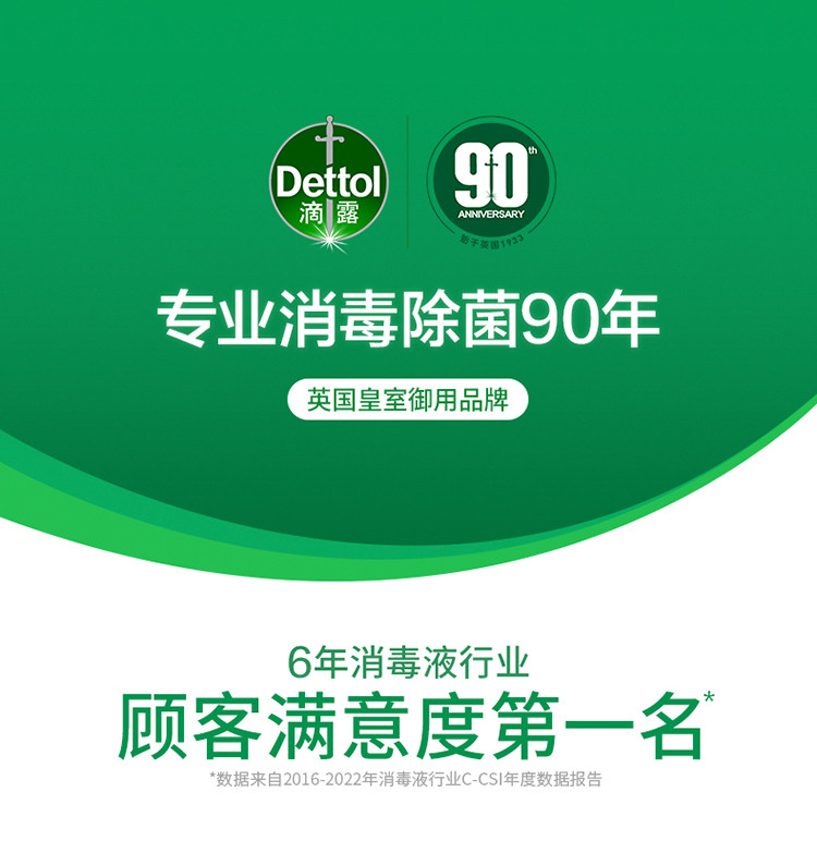 滴露/Dettol 地板清洁除菌液柠檬2L