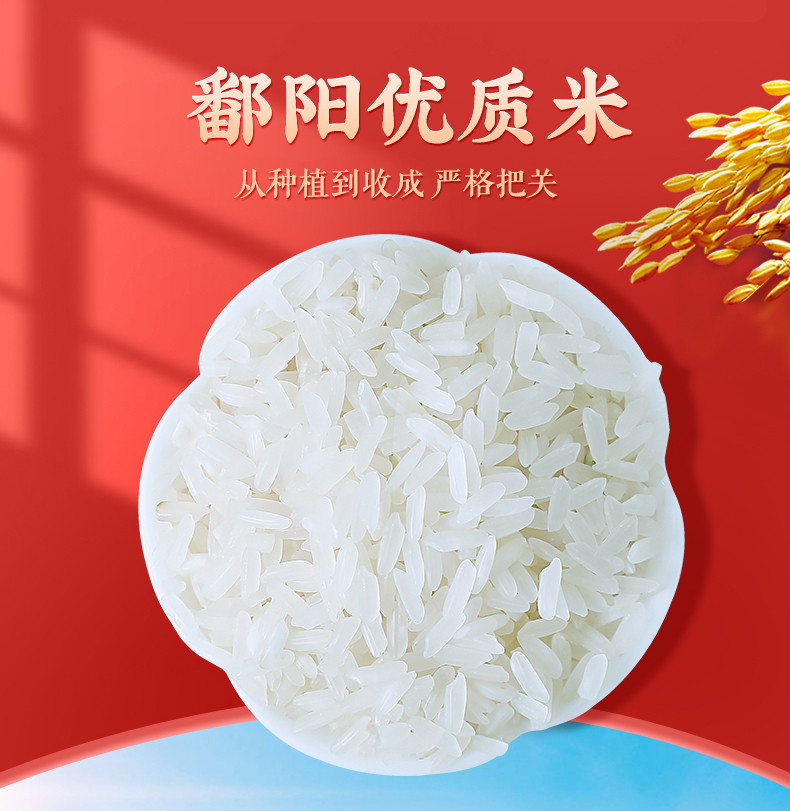 鄱阳湖 鄱阳湖虾稻香米5KG（绿色食品认证）颗粒饱满剔透，色泽光鲜 5kg