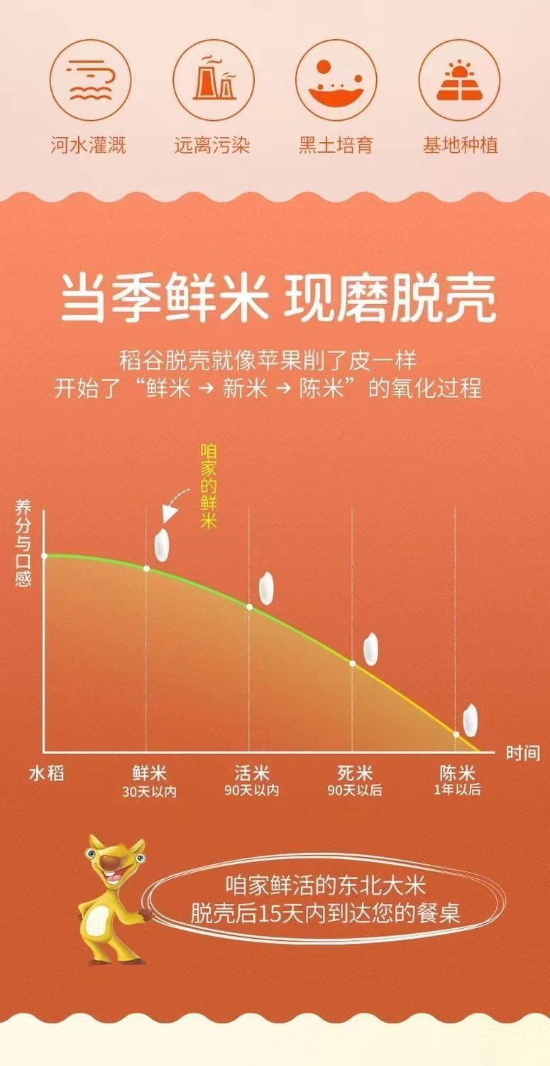 掌中禾 新米东北大米5斤圆粒珍珠米黑龙江大米2.5kg非真空包装