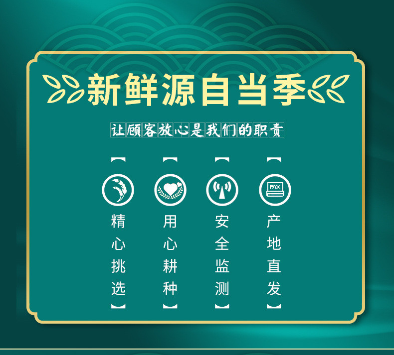 山满田 绿豆500g真空装粗粮五谷杂粮易煮新货东北绿豆