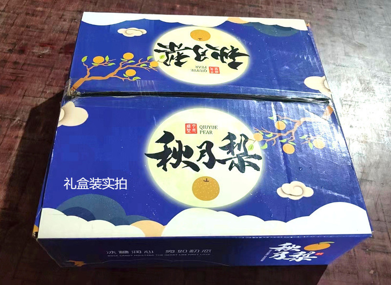 农家自产 山东秋月梨带箱3斤/5斤新鲜脆甜薄皮超甜大果水果礼盒装