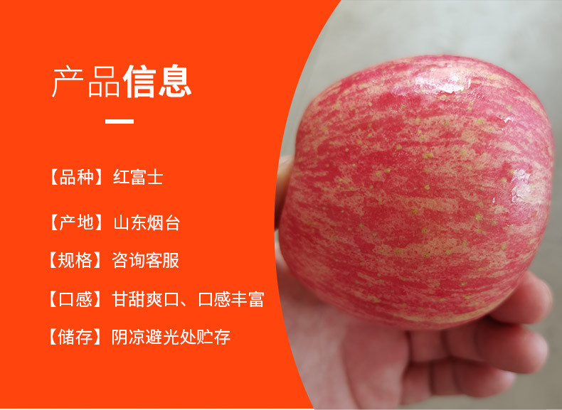 农家自产 山东苹果烟台益生菌奶油富士果园新鲜采摘水果脆甜多汁