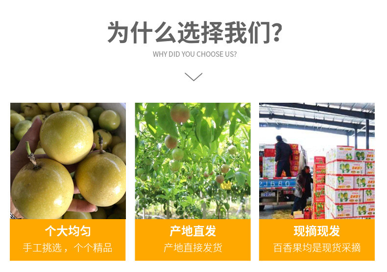 农家自产 海南黄金百香果钦蜜9号3斤整箱新鲜酸甜多汁应季水果产地直发