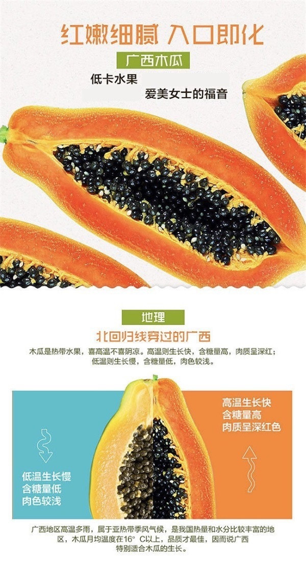 农家自产 红心木瓜2斤冰糖心木瓜青木瓜广西当季热带新鲜水果入口即化