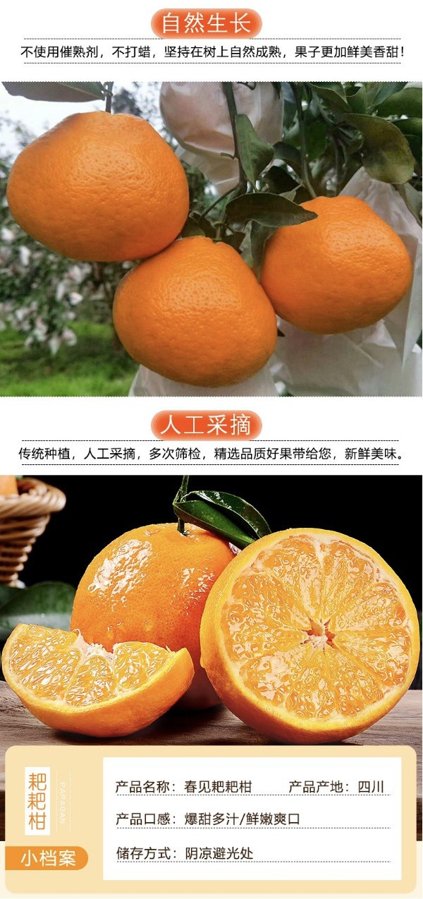 农家自产 四川春见耙耙柑3斤特级纯甜橘子当季新鲜甜水果桔子多汁口感独特