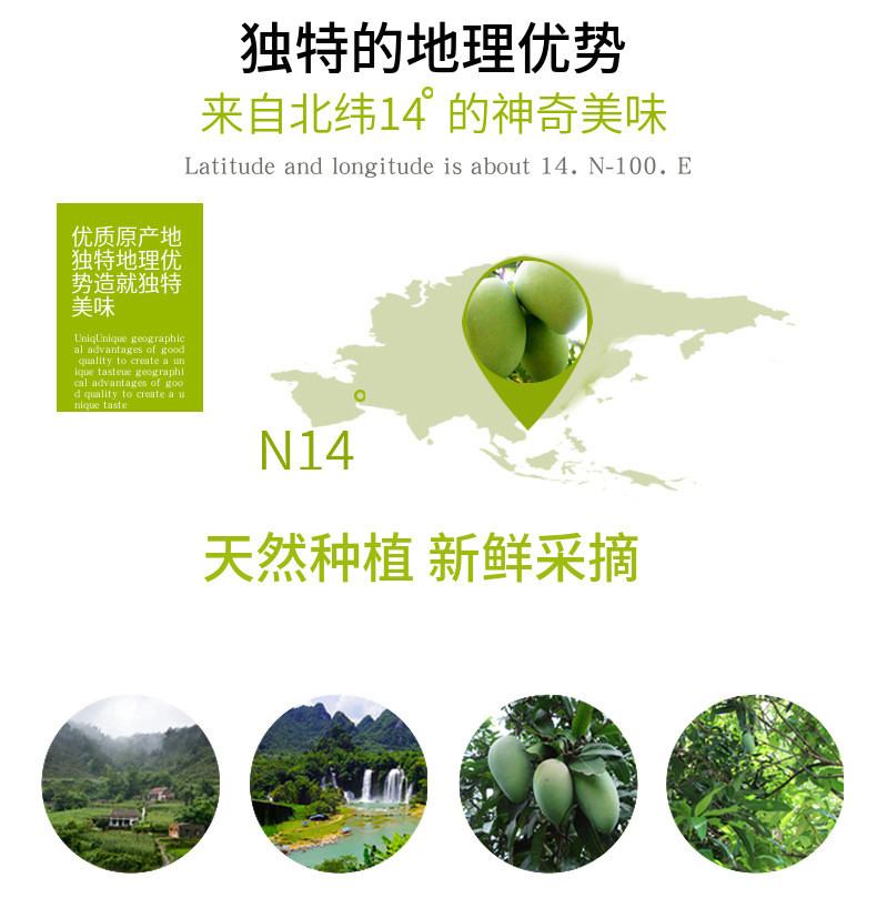 农家自产 云南大青芒果脆甜芒应季大果新鲜水果产地直发大脸芒清皮