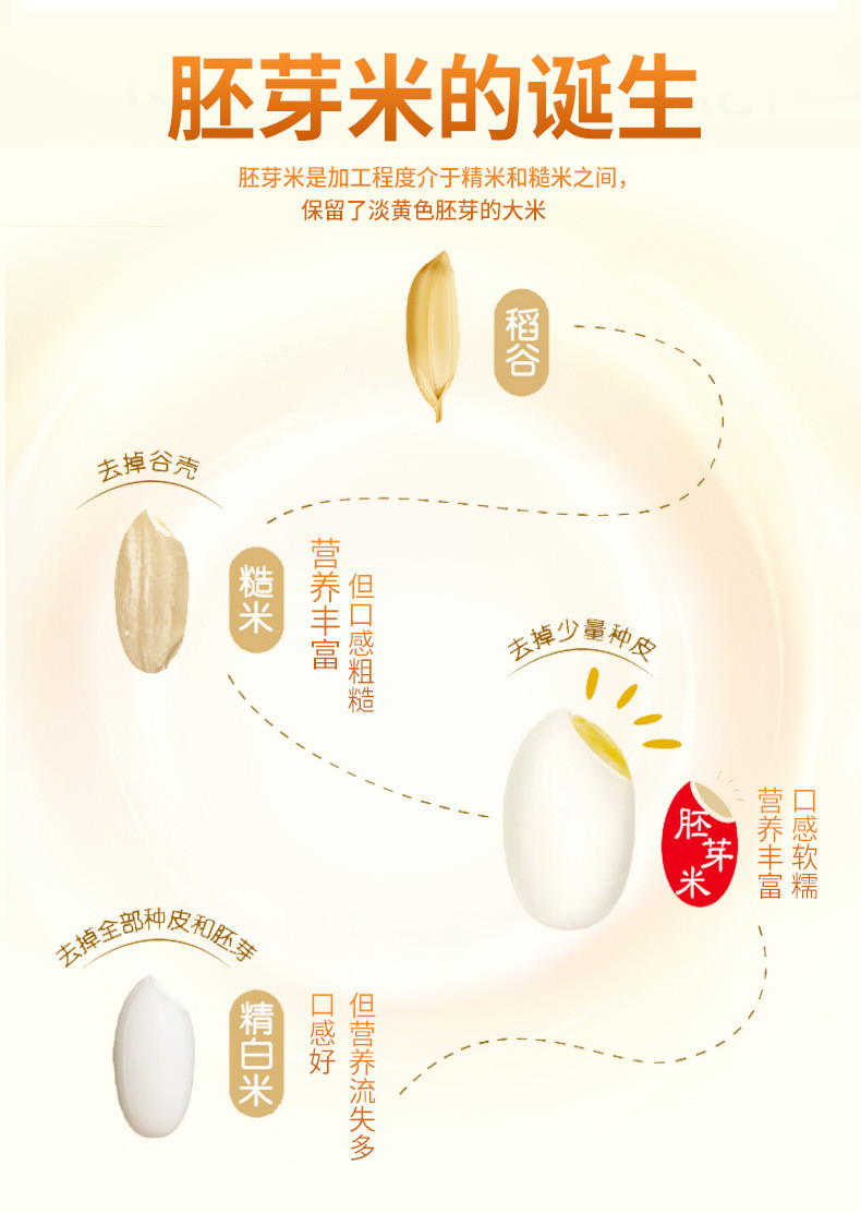 掌中禾 当季新米胚芽米2.5kg保留大米胚芽粳米5斤五谷杂粮