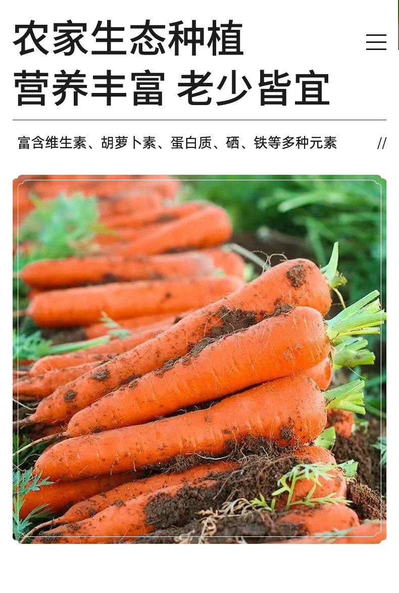 农家自产 新鲜水果胡萝卜蔬菜农家自种现挖红皮萝卜带泥营养丰富