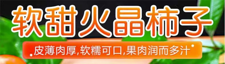 农家自产 陕西火晶柿子特产新鲜现摘水果软甜柿子皮薄肉厚可口多汁