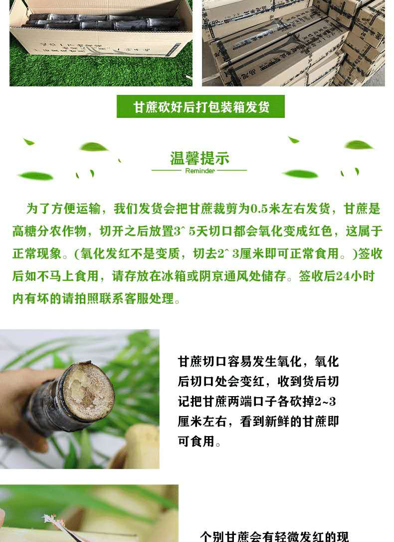 农家自产 广西黄皮甘蔗新鲜现砍现发应季水果孕妇果肉细腻甘甜多汁