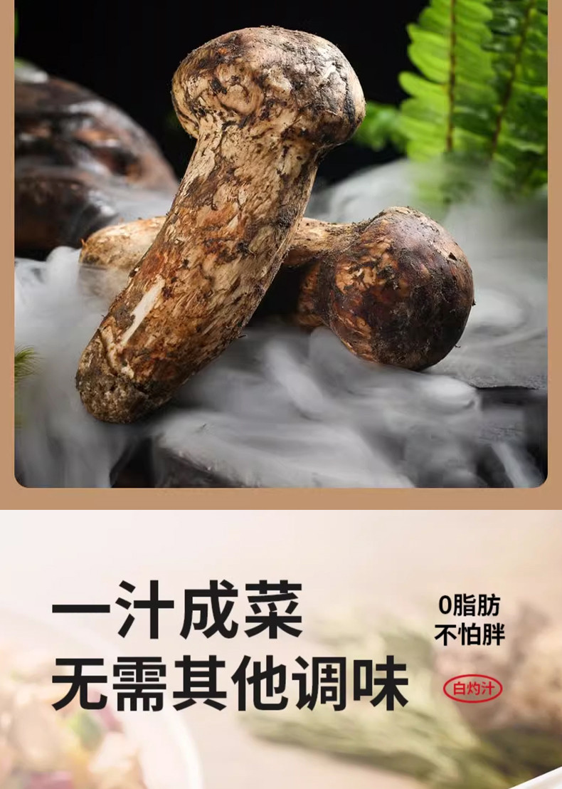 醉锅里 松茸白灼汁150g/瓶增卤肉汁60g复合调味料自然提鲜更健康