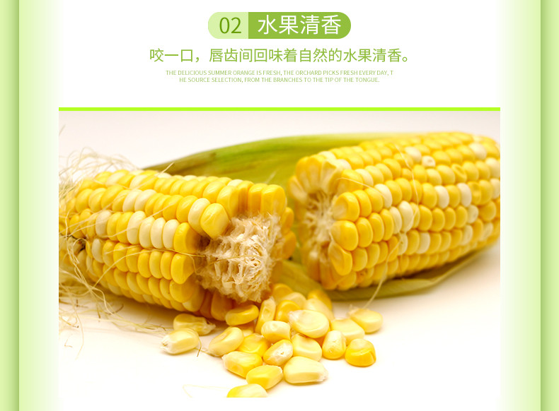农家自产 云南新鲜蔬菜水果玉米爆浆甜糯玉米当季甘甜玉米棒